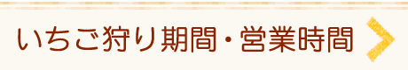 いちご狩り期間・営業時間→