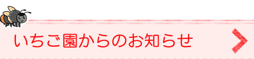 いちご園からのお知らせ→