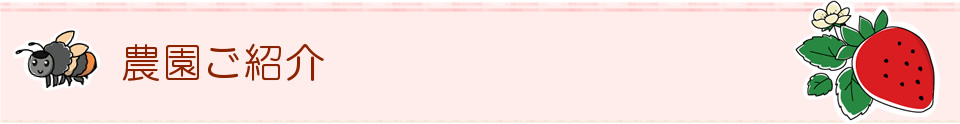 農園ご紹介