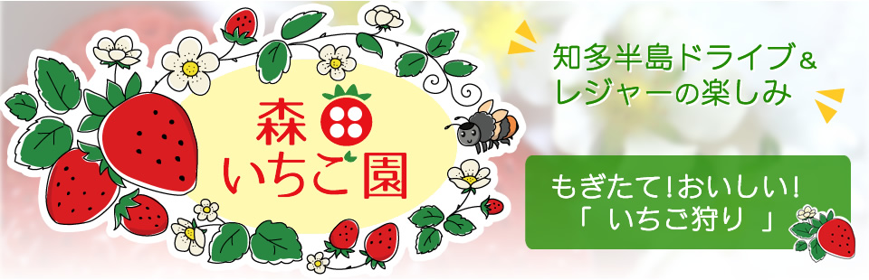 森田いちご園 「知多半島ドライブ&レジャーの楽しみ」