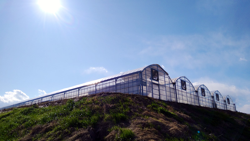 いちごハウス外観